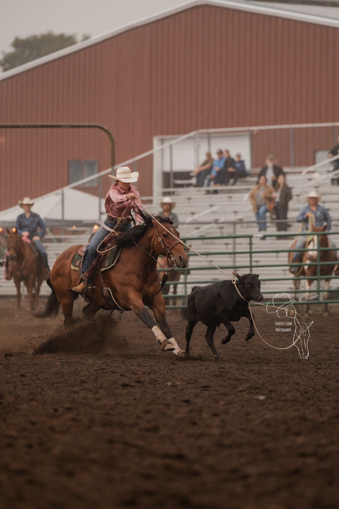 Tillamook Rodeo 2024 Saturday